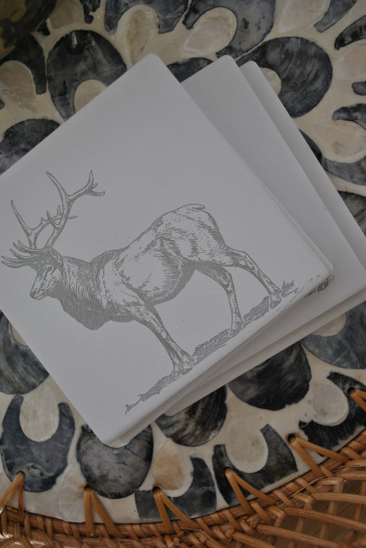 Wild Life Coaster Set