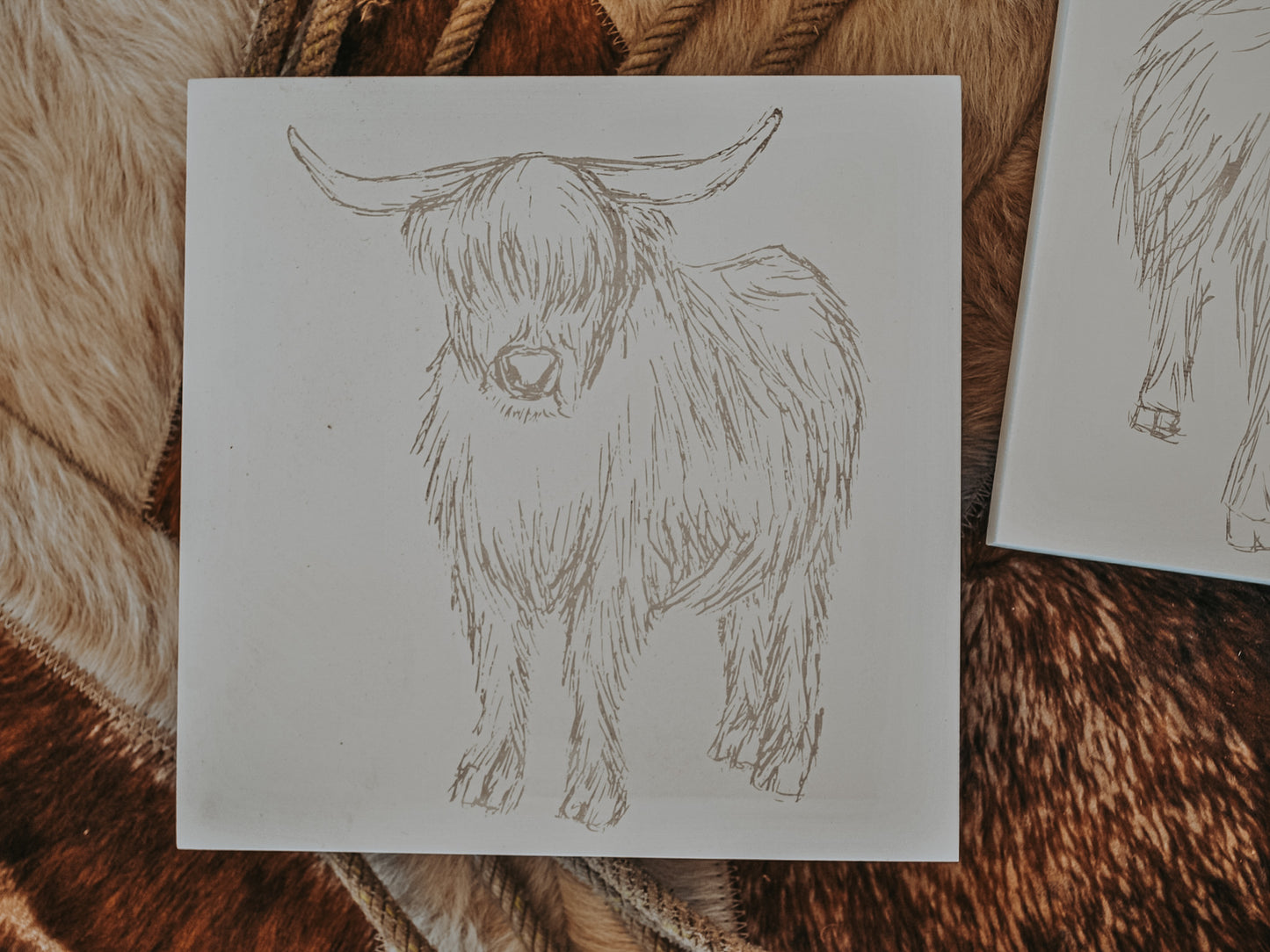 Highland Cow Sign (Set) - FINAL SALE